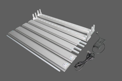 Pre SEG Frameless Lightbox 9.84X7.55ft